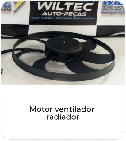 Motor ventilador radiador