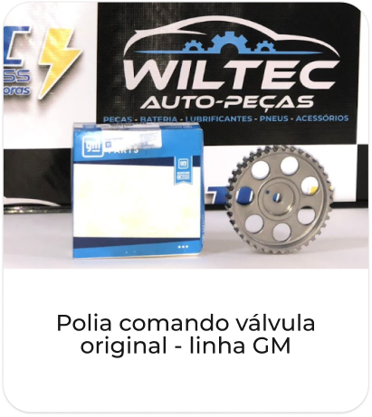 Polia comando válvula original - linha GM